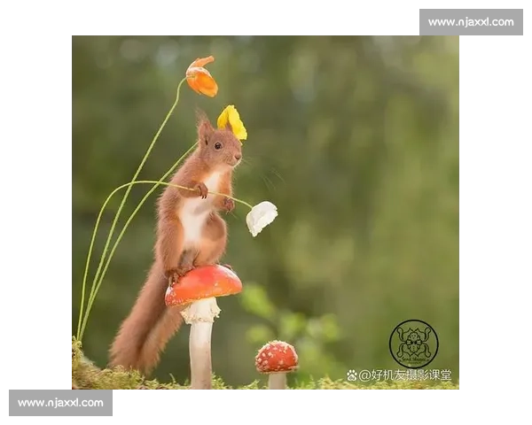 精彩瞬间全纪录：不可错过的高光瞬间与经典回放精选